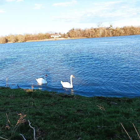 La Belle Riviere 1 Daire Saint-Georges-de-Reneins Dış mekan fotoğraf