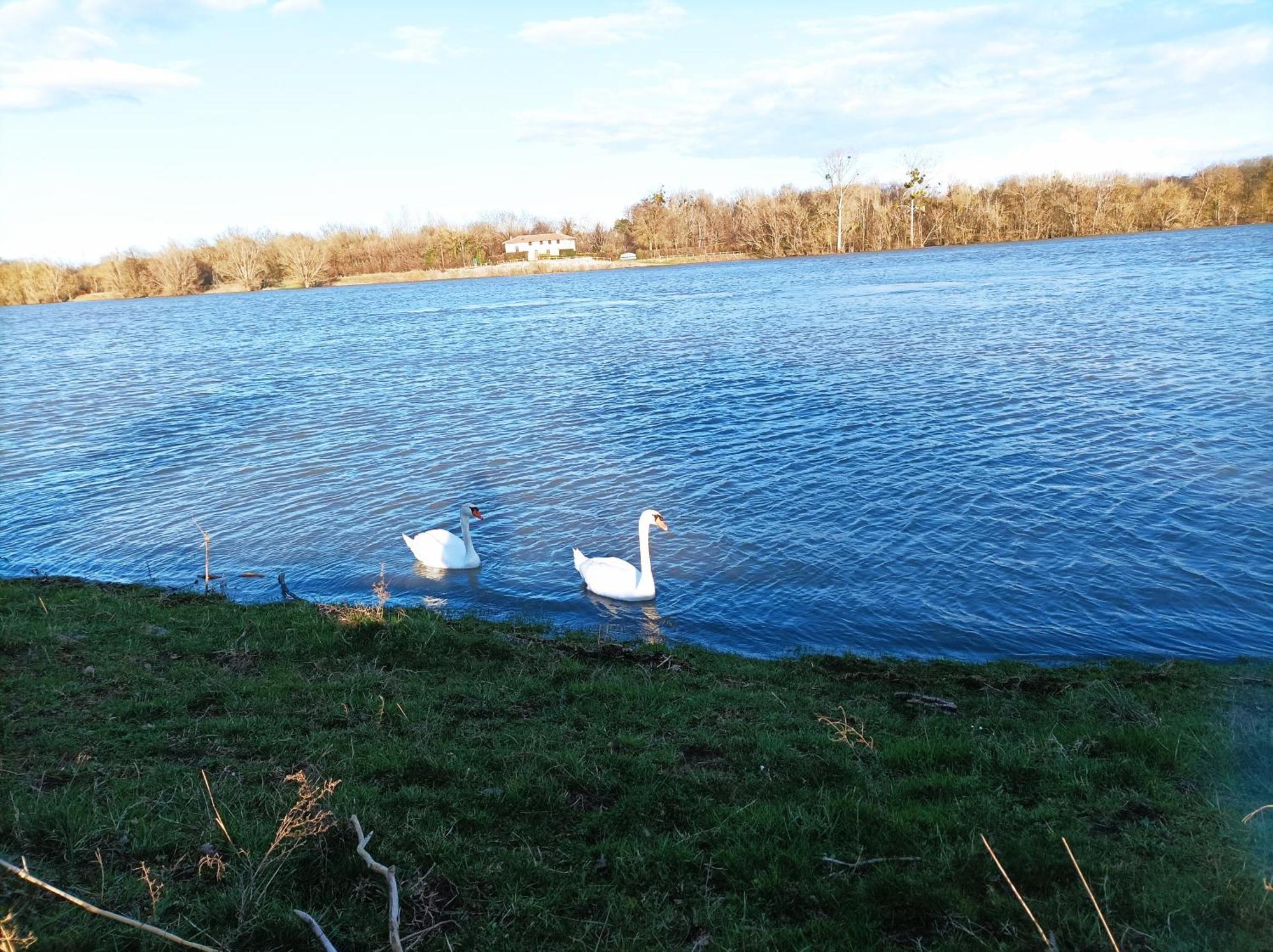La Belle Riviere 1 Daire Saint-Georges-de-Reneins Dış mekan fotoğraf